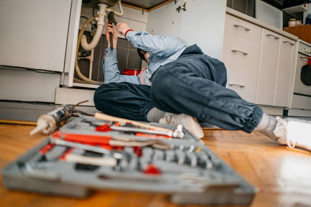 Best Water Softener Installation  in Jarales, NM