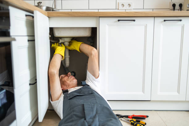 Best Commercial Plumbing Services  in Jarales, NM