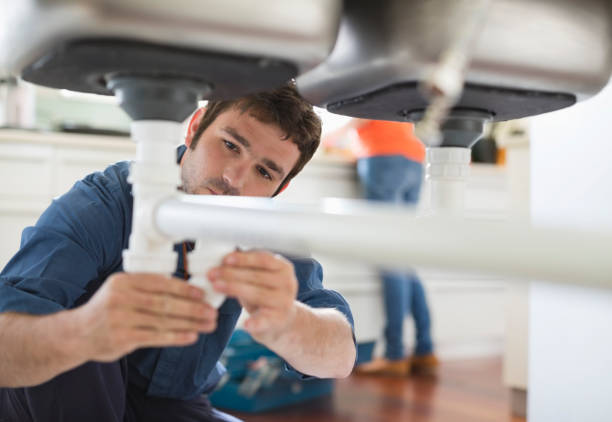 Best Plumbing Inspection Services  in Jarales, NM
